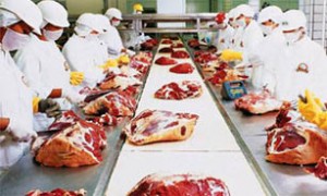 frigorifico-carne