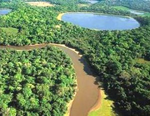 pantanal-miranda1