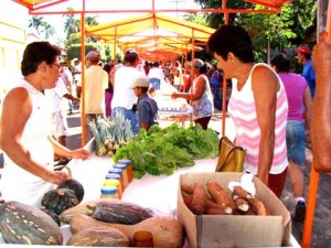 Miranda_Feira12