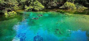 jardim_rio-da-prata12