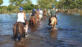 pantanal_família