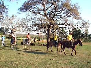 cavalgada-pantaneira