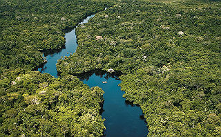 Pesquisadores testam plantas na região amazônica