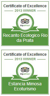certificado_tripadvisor