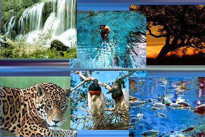 pantanal_completo