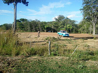 Fazendeiro responderá por crime ambiental