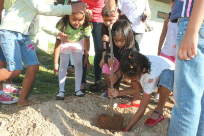 Alunos do CAIC Padre Ernesto Sassida plantaram dez ipês no entorno da escola (Foto: Kleverton Velasques)