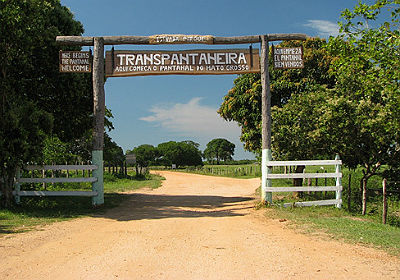O Pantanal é um dos principais atrativos turísticos de Mato Grosso. Foto: Divulgação