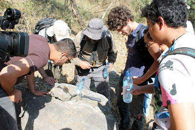 O grupo visitou a região da Cacimba para conhecer as fósseis do pequeno animal invertebrado Corumbella . (Kléverton Velasques) 