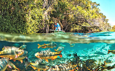 Bonito foi eleito em setembro pela revista Viagem e Turismo como o melhor destino de ecoturismo do Brasil, com o prêmio de melhor viagem de turismo