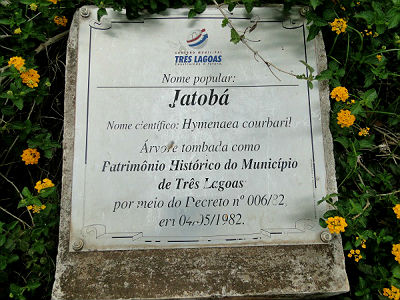 jatoba