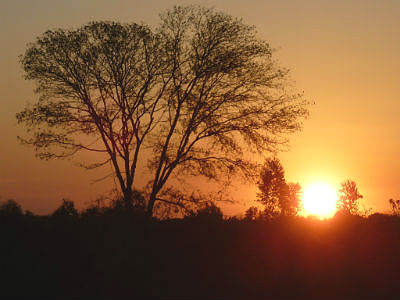 sol_pantanal1