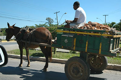 Uma das propostas é que os carroceiros dêem destinação correta ao lixo transportado por eles (Divulgação)