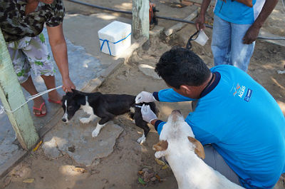 Na zona rural, inclusive ribeirinha, Saúde imunizou 2,6 mil animais (Foto: Arquivo) 