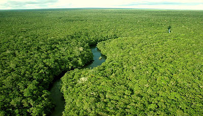 Área com 23,6 mil quilômetros quadrados (ou 2,36 milhões de hectares), cerca de 16,6% de toda a área do Amapá.