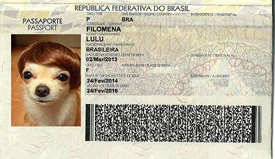 Passaporte não é obrigatório e vale, por enquanto, apenas nos Países do Mercosul