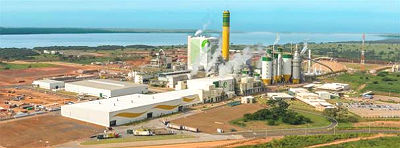Empresa produziu 1,27 milhão de toneladas de celulose de eucalipto