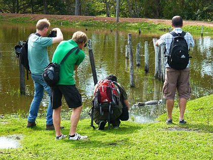 Jornalistas estrangeiros virão ao MS conhecer as belezas naturais.