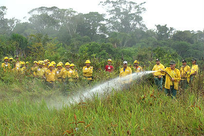 Brigadistas vão atuar contra os incêndios florestais no Pantanal (Foto: Divulgação)    