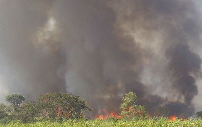 Ambiental encontrou cerca de 400 hectares incendiados