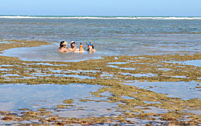 As piscinas de Praia do Forte são atrações turísticas              Foto:Fernanda Sousa/Bahiatursa