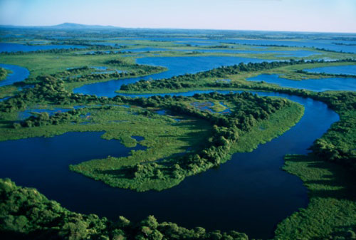 A data de o2 de fevereiro foi instituída pelo Comitê Permanente da Convenção de Ramsar, no Irã, em 1977.