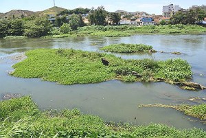 Governo do Rio planeja o reflorestamento das margens do Paraíba do Sul, um dos mananciais que abastecem o estadoAgência Brasil/Tomaz Silva