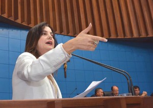 “Eles poderiam estar debatendo projetos de interesse para a população, mas, em vez disso, estão fazendo esse tipo de ataque", disse a deputada