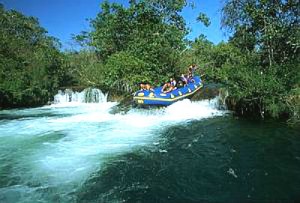 Bote no Rio Formoso: Adrenalina e aventura garantidas! Foto: Rico (Secretaria de Turismo de Bonito)