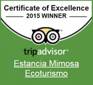 certificado-bonito1