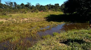 A área fica localizada no município de Inocência