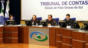 Conselheira Maria Serrano analisou 48 processos, sendo 47 regulares
