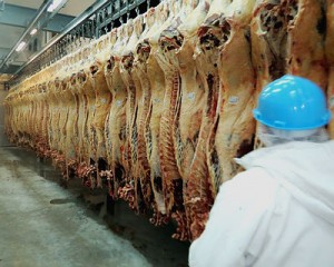 Redução de oferta de boi gordo pronto para o abate está ocasionando o fechamento