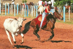 Acontece entre os dias 2 e 6 de dezembro, no Rancho do Laço, em Dourados