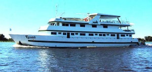 De novembro a fevereiro, cruzeiros fluviais em barcos como este (Foto: Divulgação) 