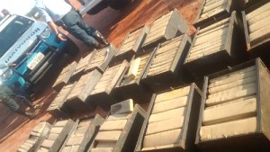 A droga estava armazenada em 25 caixas com aproximadamente 30 quilos de maconha em cada caixa