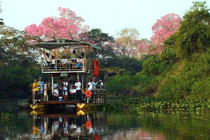 Bonito e Pantanal estão em evidência nos tempos atuais