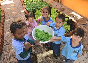 16 de outubro, Dia Mundial da Alimentação,