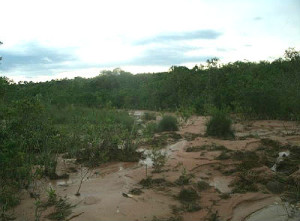 O fazendeiro responderá por crime ambiental de degradação de APP / Divulgação PMA