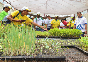 Estão participando do curso de Produtor de Olerícolas