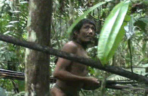 Os Kawahiva são uma pequena tribo de caçadores-coletores isolados que dependem completamente de sua floresta