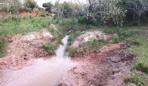O fazendeiro não possuía licença ambiental