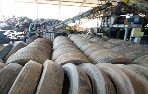Material recolhido foi encaminhado para empresa especializada