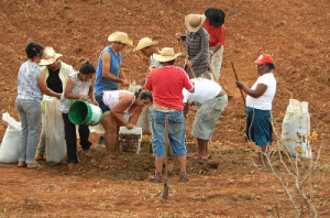 Movimento teme por segurança das famílias acampadas
