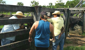 Associação de Moradores e Produtores Rurais da Comunidade Quilombola de Santa Tereza (Amprust) participam do Produzir Mais