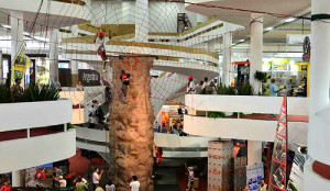 Será de 12 a 16 de outubro de 2016 no São Paulo Expo