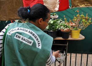 Ministério do Turismo envia mensagem com dicas de combate ao mosquito da dengue. (Foto: Divulgação/Valter Campanato/ABr)
