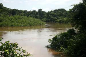 O rio Miranda está com 6,75 metros, sendo que o normal é 2,54