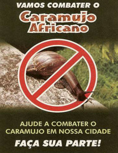 caramujo1