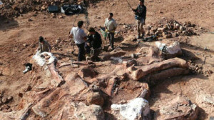 Fósseis são de 100 milhões de anos atrás (Foto: BBC)